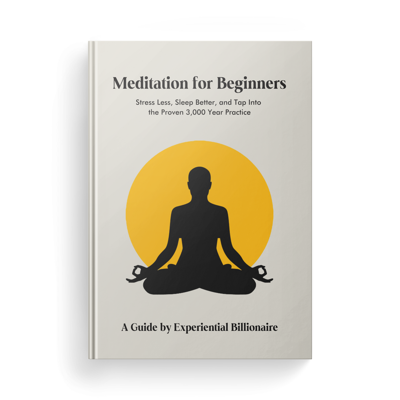 Experiential Billionaire's Guide to Meditation for Beginners