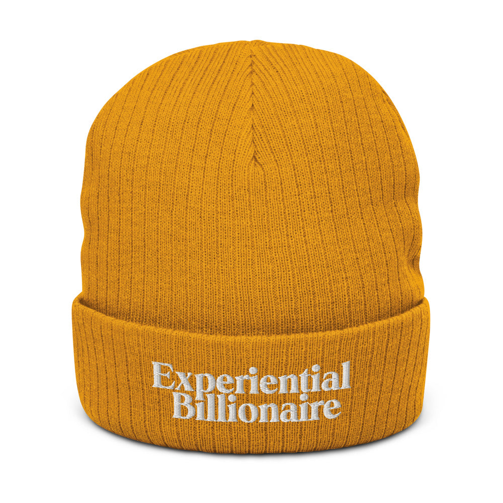 Experiential Billionaire Recycled Cuffed Beanie
